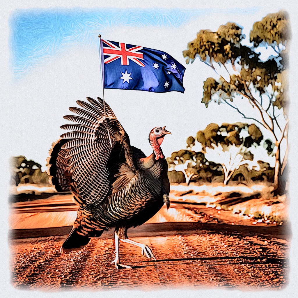 Australia's Wild Turkey